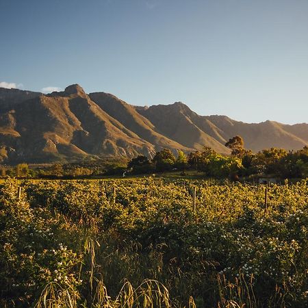 Wildebraam Berry Estate Βίλα Swellendam Εξωτερικό φωτογραφία