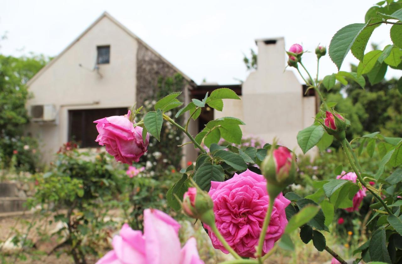 Wildebraam Berry Estate Βίλα Swellendam Εξωτερικό φωτογραφία