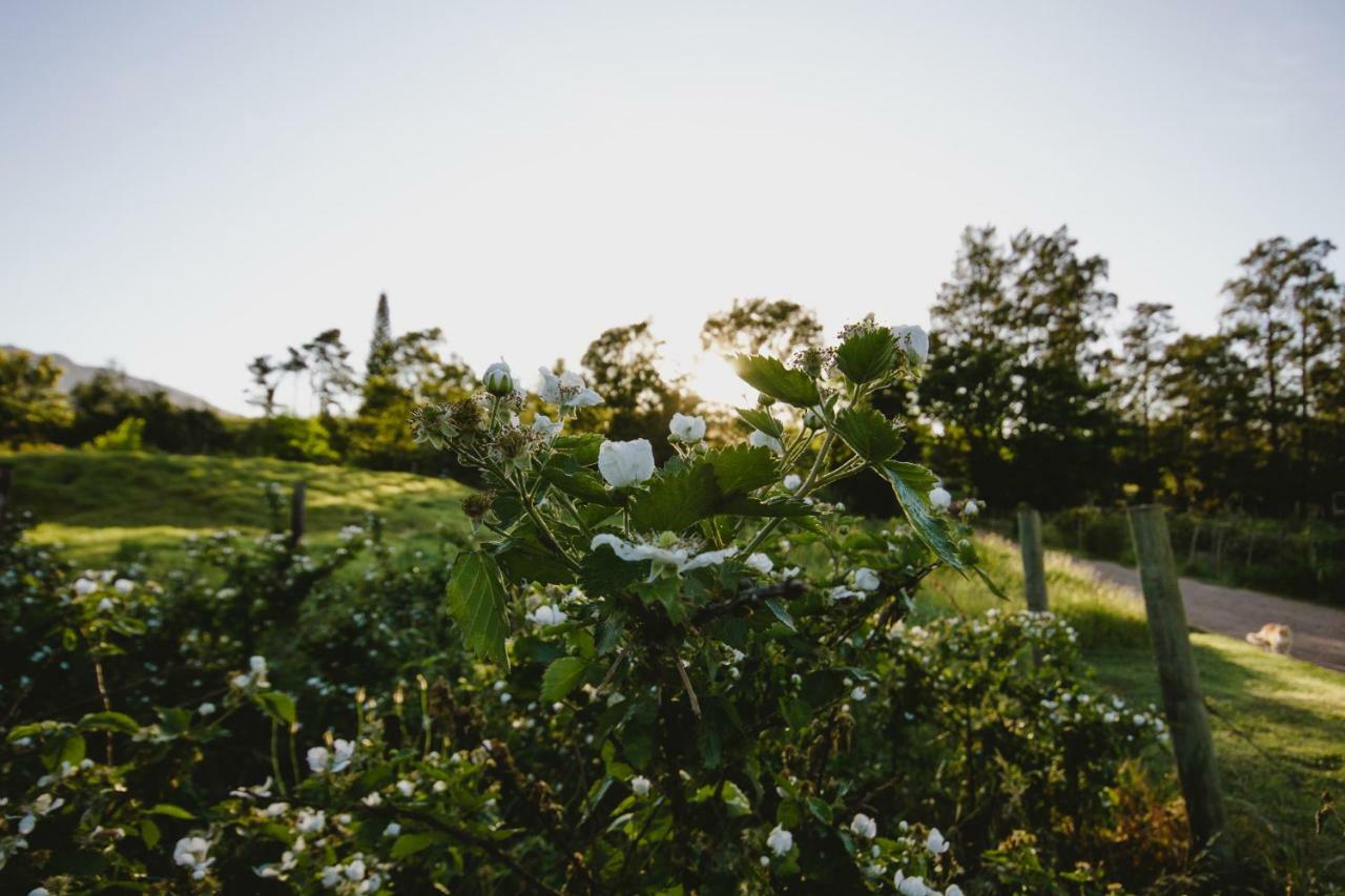 Wildebraam Berry Estate Βίλα Swellendam Εξωτερικό φωτογραφία